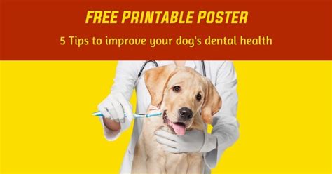 Printable Free Veterinary Posters